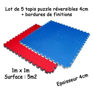 Lot de 5 tapis puzzle réversible 4cm