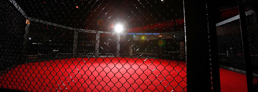 cage mma free fight